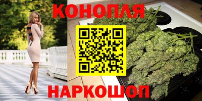 гидра Лесосибирск