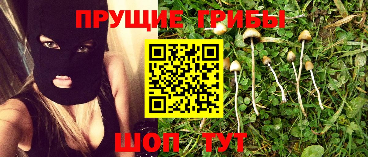 Дмитров  Псилоцибиновые грибы MAGIC MUSHROOMS  Вход с VPN  купить   Галлюциногенные грибы ЛСД 
