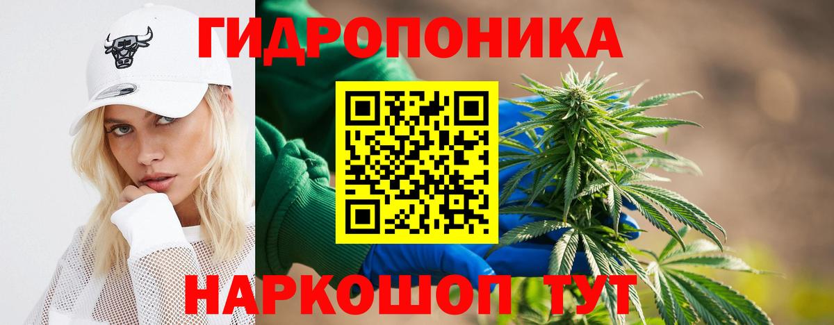 Марихуана тримм  Бошки марихуана Bruce Banner  Вход с VPN  Конопля Bruce Banner  Дмитров  Бошки марихуана сатива 
